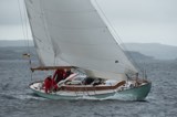 astrophel 276 whyw23 thur 750 1015